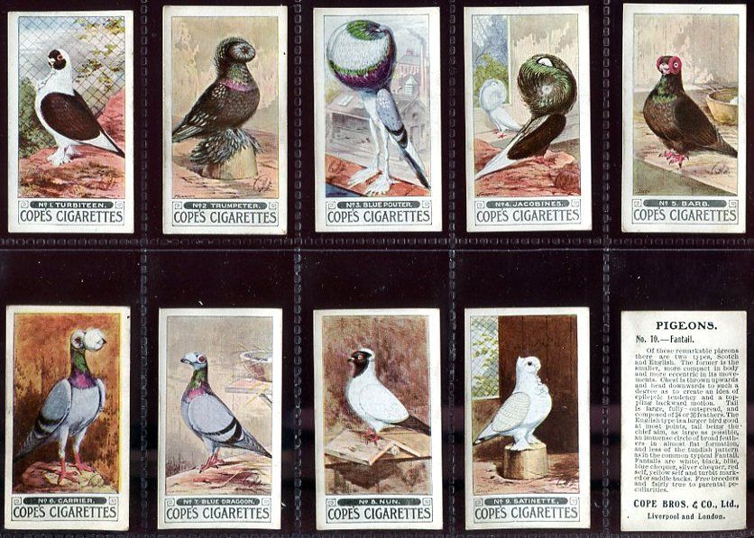 Tobacco Card Set, Cope, Racing PIGEON, Sport, Ring, Band, 1926  