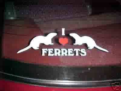 LOVE FERRETS vinyl ferret decal  